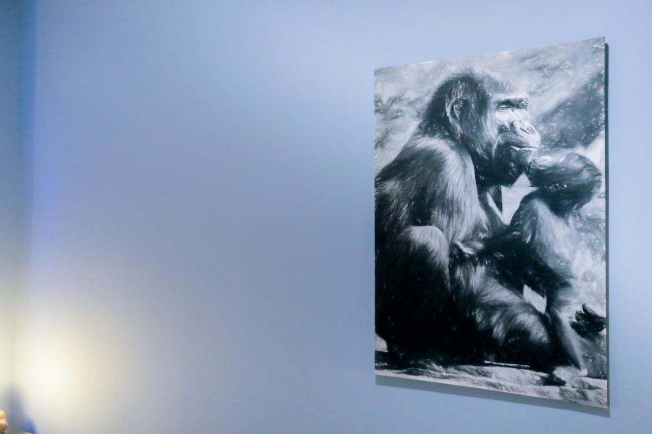 La Jungle, T5 Hypercentre Chic Et Cosy, Wifi, Netflix Par Sovalfi Appartement